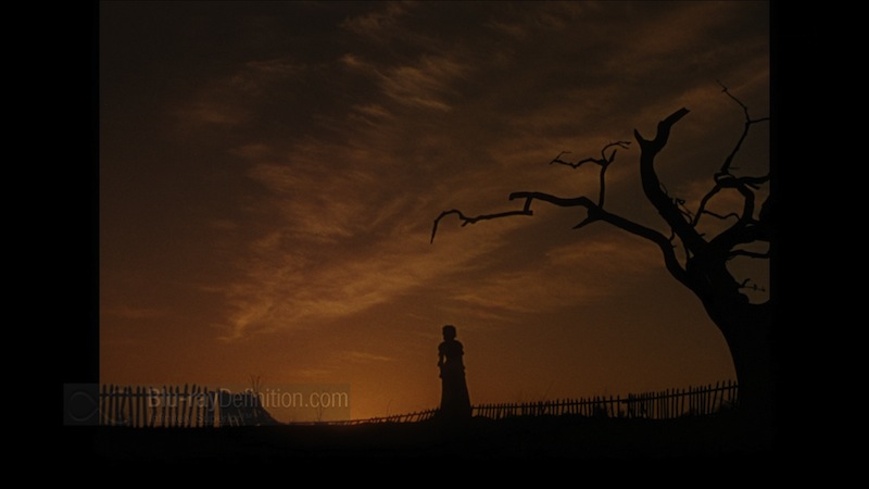 Lo que el viento se llevó 