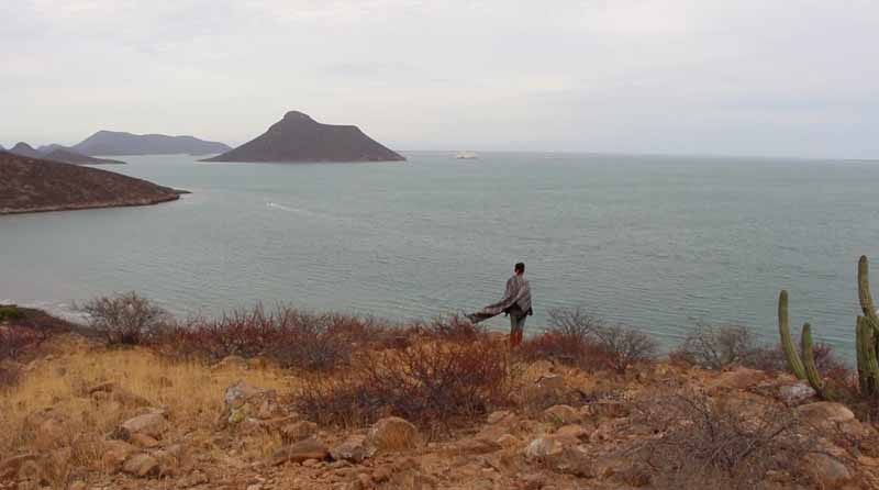 LenguajesAlienígenas_linne_magazine