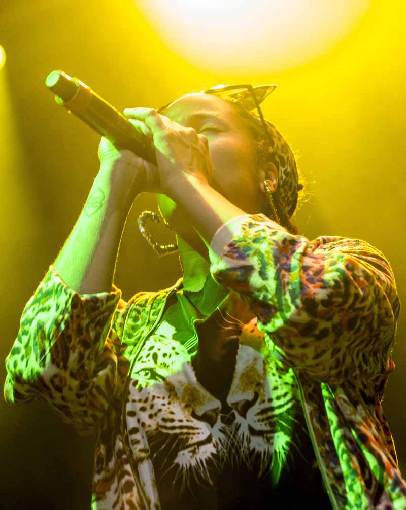 Alika-Plaza Condesa_Polan Zepda15