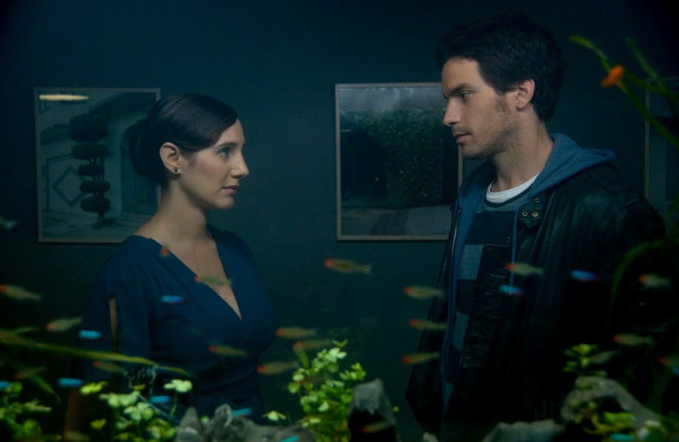 la vida de los peces