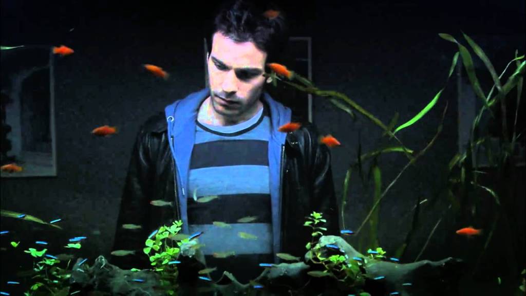 la vida de los peces