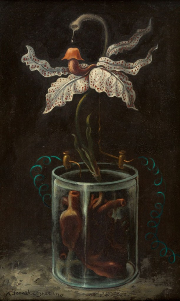 Manuel González Serrano - La flor de la alquimia