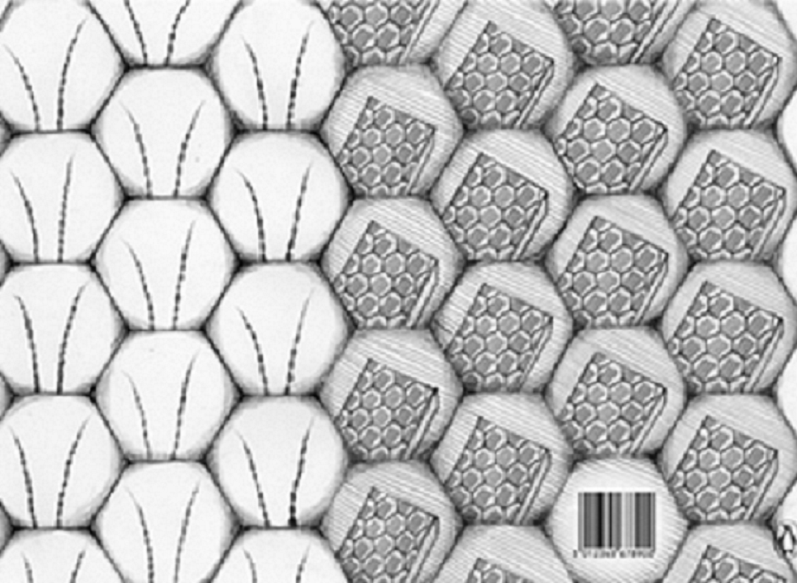 c595edbc776880e31a09f5fb28418dd21