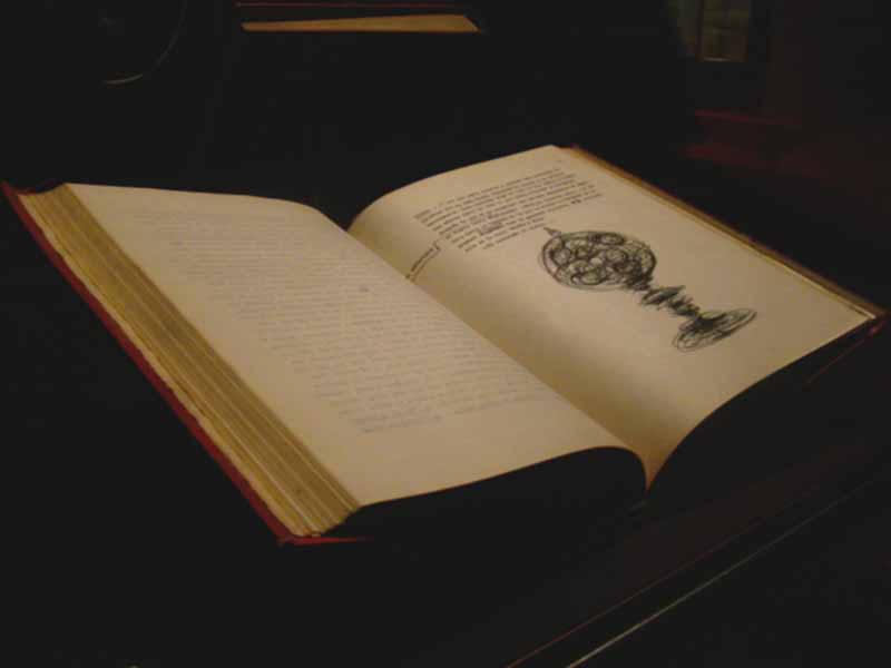 Fotografía: Ulises Miguel