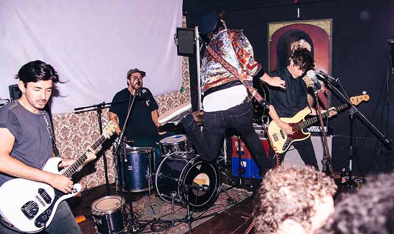 AveNegra_PabloMurillo