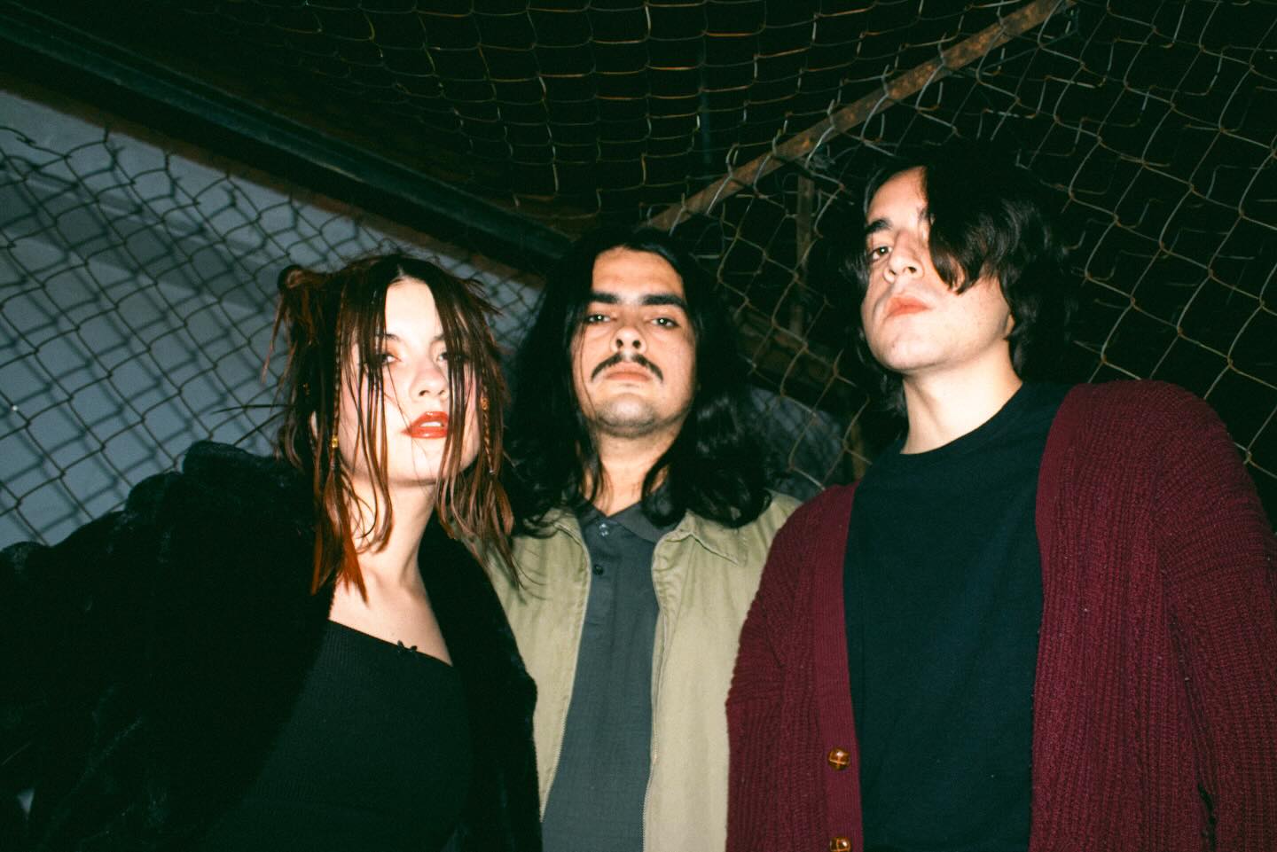 Margaritas Podridas, banda mexicana.